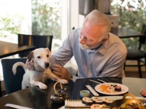 My Perfect Pet Food: A Guide to Choosing the Best Nutrition for Your Furry Friends