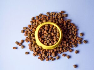 Discovering the Benefits of Nulo Pet Food: A Comprehensive Guide