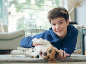 VCA Animal Hospital: A Trusted Partner in Pet Care