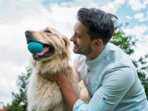 Discover the Best Pet Friendly Hotels for Your Next Adventure