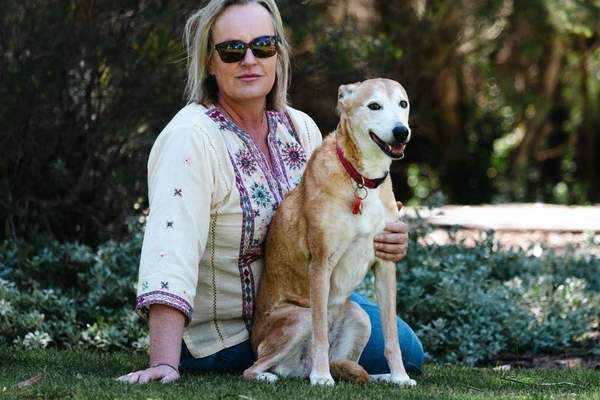 signs of arthritis in ageing dogs